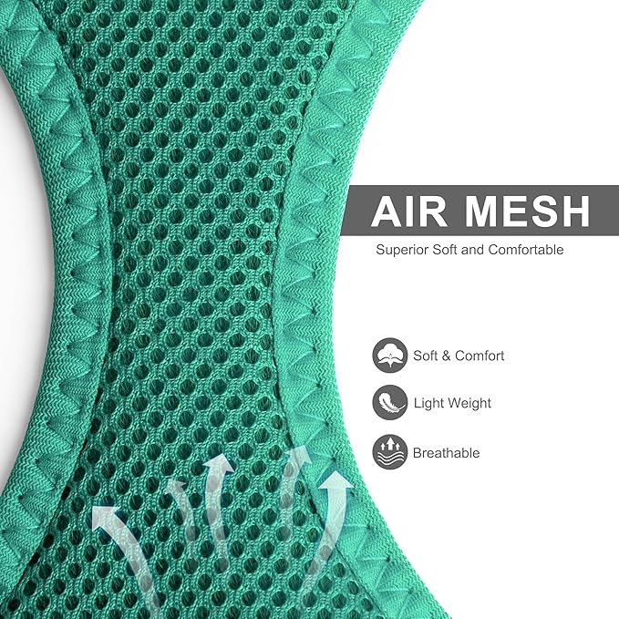 Fida Cat Harness and Leash Set for Walking Kitten and Puppy, Escape Proof Kitten Harness with Breathable Lightweight Soft Mesh, Adjustable Reflective Step-in Design. (XS, Green)
