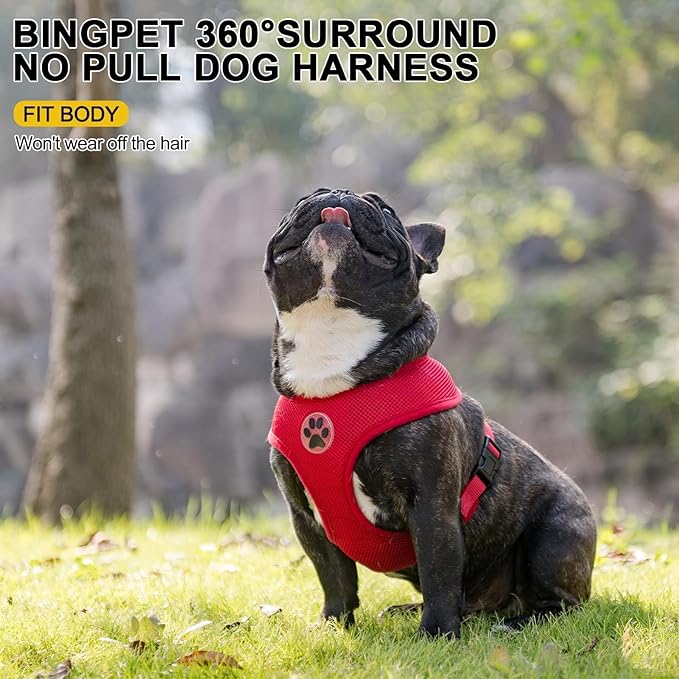 BINGPET BB5001 Soft Mesh Dog Harness Pet Walking Vest Puppy Padded Harnesses Adjustable, Red Small