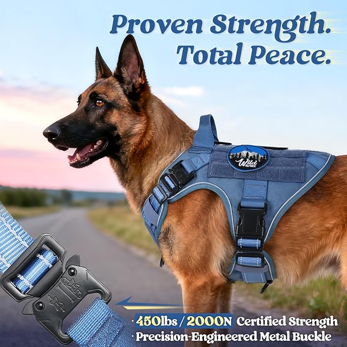 rabbitgoo Tactical Dog Harness Small Medium Sized, No Pull Upgraded Reflective Heavy Duty Molle Vest with Handle, Adjustable Military Service Dog Vest for Walking Hiking Training, Blue, S