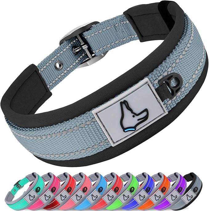 Joytale Dog Collar for Small Dogs, Neoprene Padded and Adjustable, Reflective Wide Heavy Duty Pet Collars with Durable Metal Belt Buckle for Walking, Gray, S