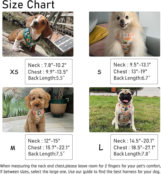 Dog Harness and Leash Set, Adjustable Dog Harness, Dog Leash, No Pull No Choke Puppy Harnesses for Walking Training for Small Medium Pet (Wines, XS(Chest 9.9-13.5", Neck 7.8-10.2"))