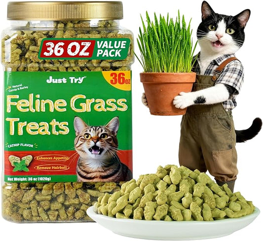 Just Try 36 OZ Cat Treats for Indoor Cats Hairball Control Natural Salmon Healthy Cat Grass Treats Kitten Snacks Training Biscuits Catnip for Cats Dental Care