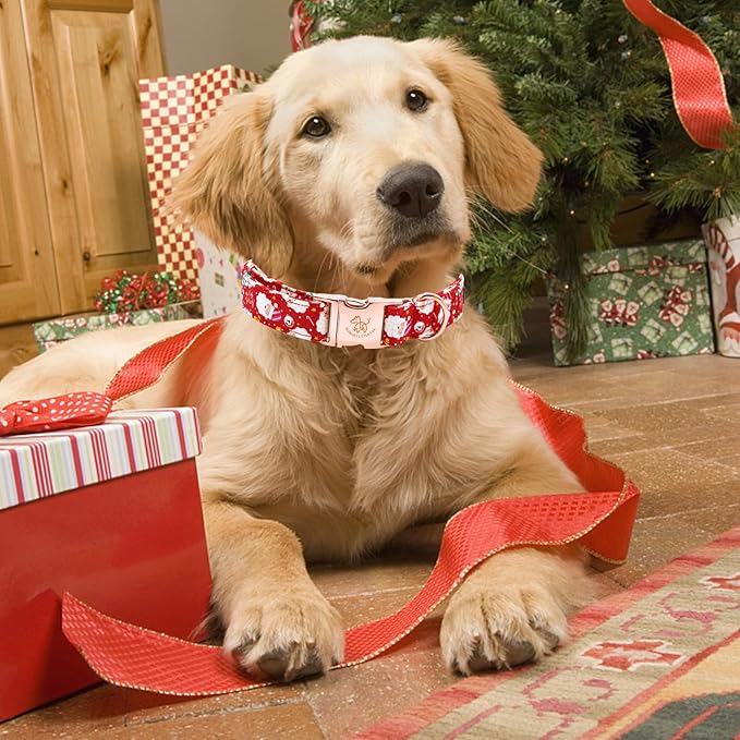 Elegant little tail Christmas Dog Collar, Red Santa Claus Print Pet Collar Dog Durable Cute Dog Collars Winter Holiday Male or Female Pet Gift Adjustable Dog Collar for Small Puppy