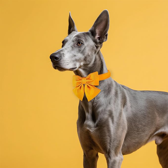 Maca Bates Mango Yellow Dog Collar with Cute Solid Sailor Bow Tie for Large Girl Boy Dogs,Adjustbale Durable Breakaway Soft Collars with Bowtie for Female Male Puppy,Pet with Metal Buckle