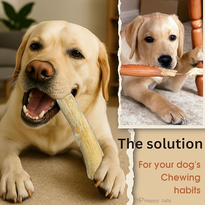 Set of 1 Coffee Wood Dog Chew Stick Toy for Dog, Natural and Real Wooden Bone Sticks for Pets, Safe Dental Cleaning Chews, Pets Health, Teeth Cleaning and Relieve Stress (Medium)