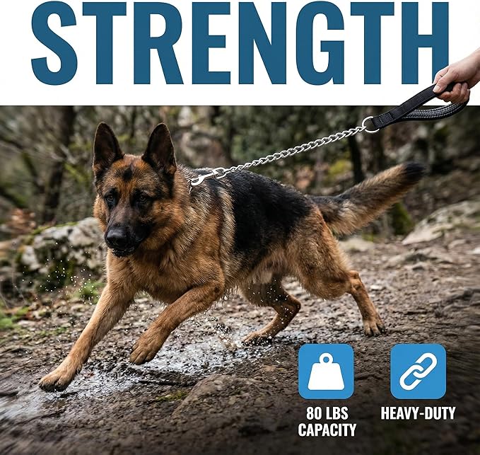 CtopoGo Heavy Duty Dog Leash,Metal Dog Chain Leash with Padded Handle for Large & Medium Size Dogs (4 ft. x 3.0 mm (0-80 lbs.))