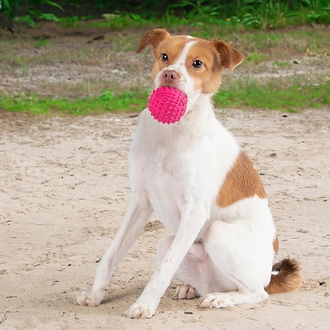 Best Pet Supplies Squeaky Dog Toys with Soft Durable Fabric for Small, Medium and Large Pets Interactive Toy for Indoor Play, Supports Active Biting and Play - Fuchsia (L:3.5")