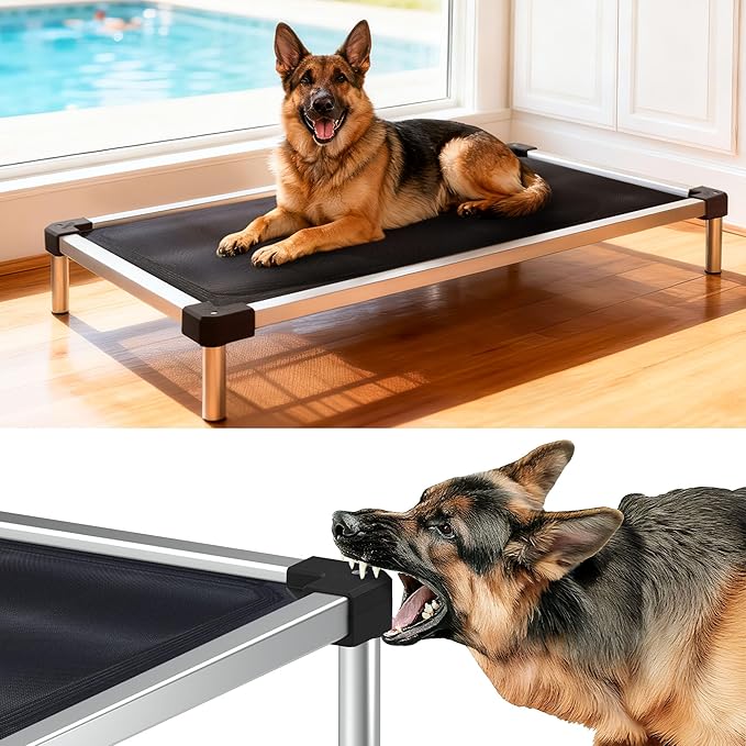 FXW TitanNest Chew-Proof Elevated Dog Bed, Raised Cot for Indoor/Outdoor/Camping Use, Durable & Waterproof Cooling Pet Bed for Large Dogs, 50.0" L x 31.0" W x 7.3" H, Black