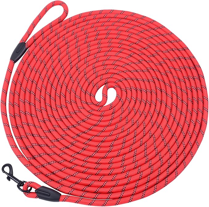 Long Dog Leash for Training 30Ft-Reflective Nylon Rope with Swivel Hook-Recall Agility Lead for Large Small Medium Dogs Outside Walking Hiking-Red