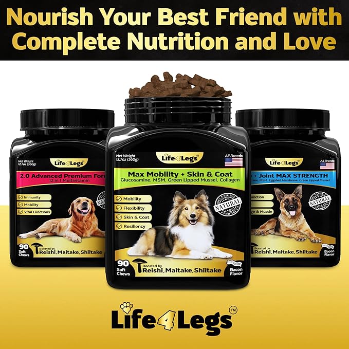 Hip and Joint Chews for Dogs Plus Skin and Coat Supplement - Dog Joint Pain Relief Treats - Glucosamine, Chondroitin, MSM, Hemp Oil, Turmeric, Omega 3 for Dogs, Mobility Bites Dog Health