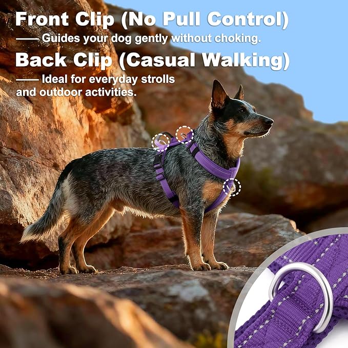 No Pull Dog Harness with Handle, Soft Mesh Padded Adjustable for Small Medium Large Dogs | Reflective Easy Walk Harness with Front Clip for Training, Running & Outdoor (Purple, S)