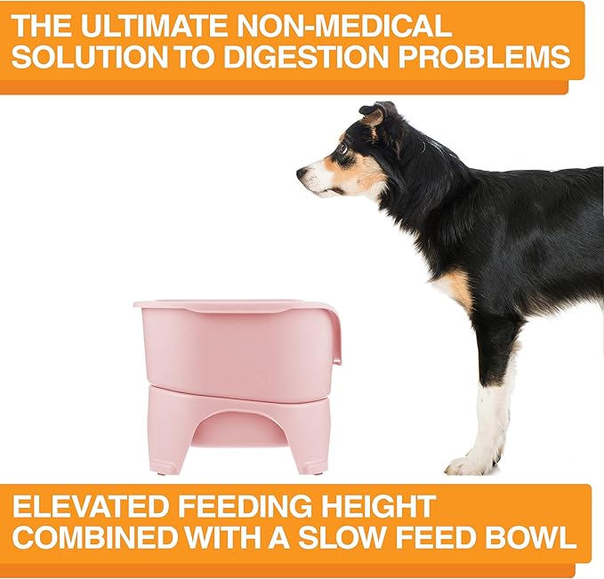 Neater Feeder - Express Model w/Slow Feed Bowl - Mess-Proof Dog Bowls (M/L, Pink) Made in USA – Elevated, No Spill, Non-Tip, Non-Slip, Raised Stainless Steel Food/Water Pet Bowls Aid Digestion