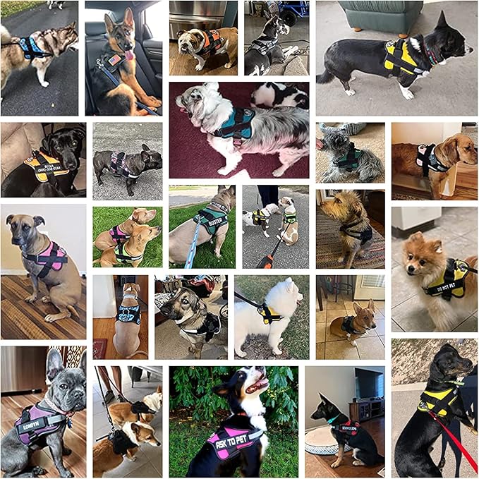 Bolux Dog Harness, No-Pull Reflective Dog Vest, Breathable Adjustable Pet Harness with Handle for Outdoor Walking - No More Pulling, Tugging or Choking Small (Pack of 1) RoseTurquoise