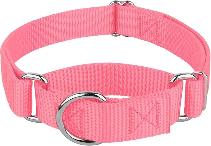 Country Brook Petz - Martingale Dog Collar - Heavy-Duty Training Collar with No Buckle - Service Dog Collar for All Pups - 10+ Warm Colors (Pink, 5/8 Inch, Extra Small)