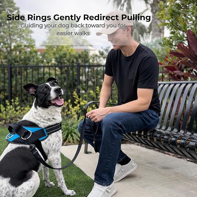ShawnCo Essential Dog Harness, No-Pull Pet Vest with 3 Leash Clips, No Choke, Reflective, Adjustable and Padded, for Easy Walking and Training for Small, Medium and Large Dogs (Mustang Red, XL)