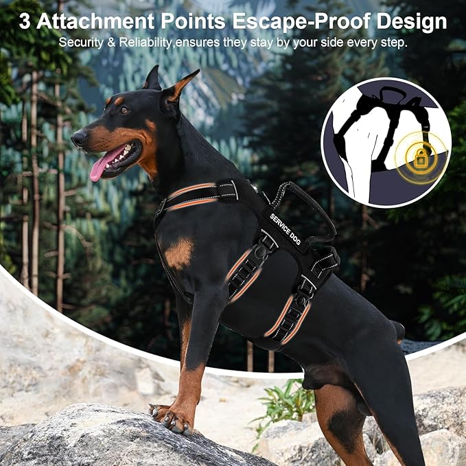 Escape Proof Dog Harness for Large Medium Sized Dogs Six Point Adjustable, Service Dog Vest Harness and Leash Set, No Pull Dogs Harnesses with Handle, XL Dog Harnesses for Walking(Black, XL)
