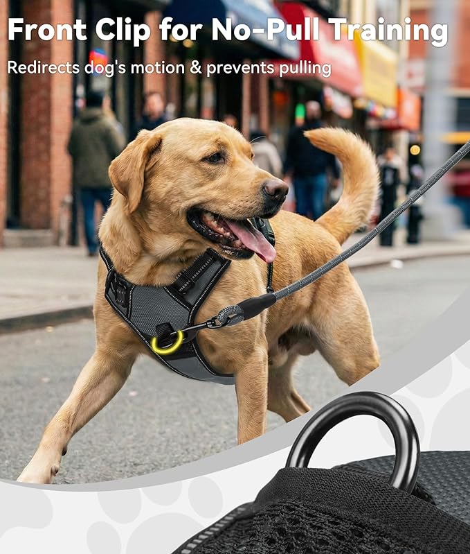 Joytale No Pull Dog Harness for Small Dogs, Reflective Pet Vest with Front Clip, Adjustable Soft Padded Harnesses with Easy Control Handle for Training and Walking, Gray, S