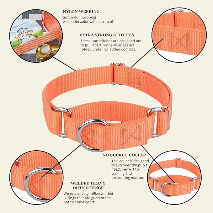 Country Brook Petz - Martingale Dog Collar - Heavy-Duty Training Collar with No Buckle - Service Dog Collar for All Pups - 10+ Warm Colors (Mango, 3/4 Inch, Small)