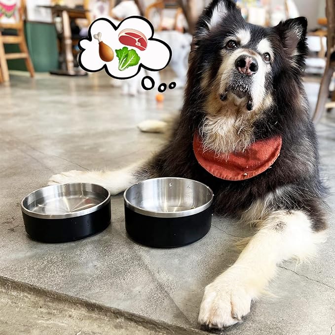 LIHONG Stainless Steel Dog Bowls for Small Medium Sized Dogs Non Slip,Insulated Dog Bowl,Pet Bowl for Food and Water,Rustproof(40oz,Black)