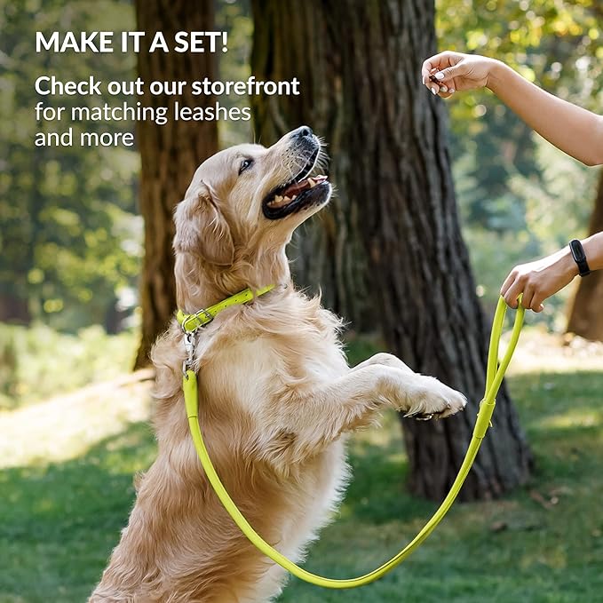 CollarDirect Rolled Leather Dog Collar, Soft Padded Round Puppy Collar, Handmade Genuine Leather Collar Dog Small Large Cat Collars 13 Colors (13-16 Inch, Lime Green Smooth)