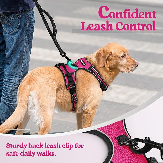 rabbitgoo Dog Harness No Pull with 2 Leash Clips, Adjustable Soft Padded, Reflective Oxford No Choke Pet Vest with Easy Control Handle for Large Dogs, Hot Pink, S