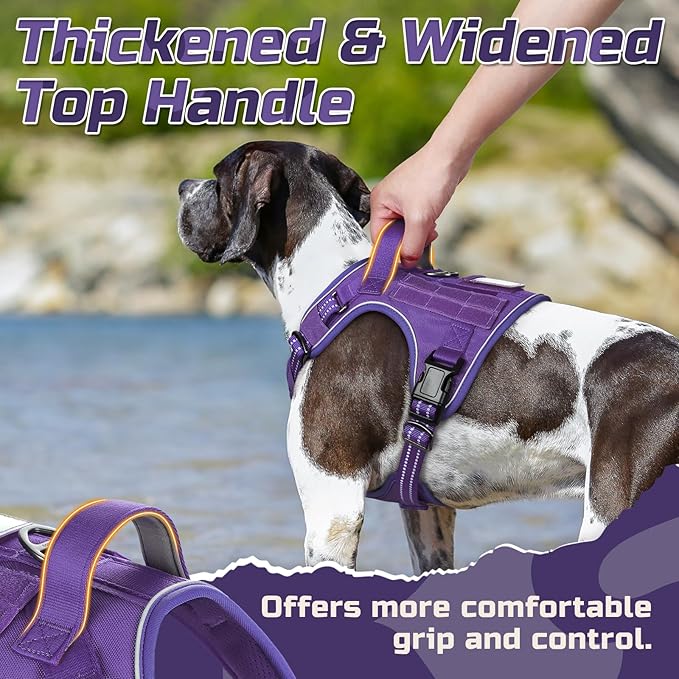 rabbitgoo Tactical Dog Harness Medium Sized Dog, No Pull Military Service Vest with Handle & Molle, Easy Control for Training Walking, Adjustable Reflective Straps, Purple, M