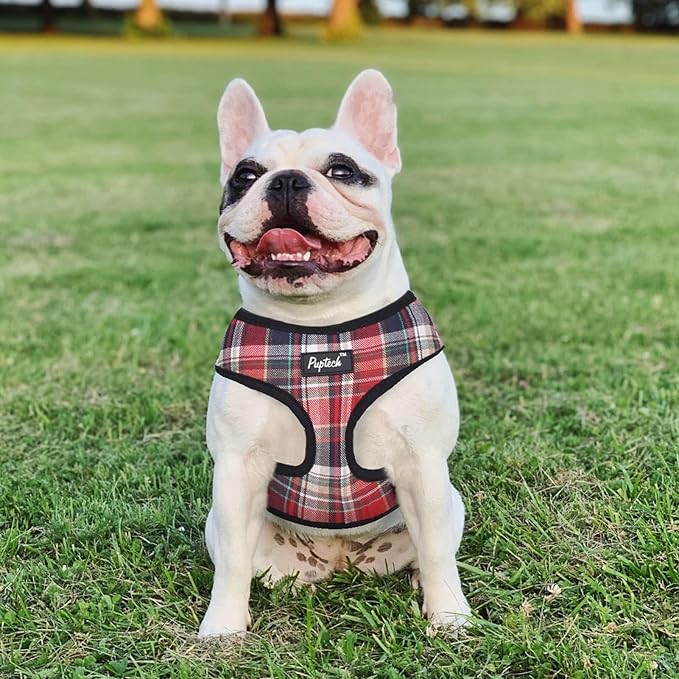 PUPTECK Soft Mesh Dog Harness and Leash Set Pet Puppy Cat Comfort Padded Vest No Pull Harnesses, Red Mixed, S