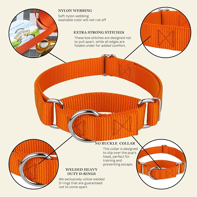 Country Brook Petz - Martingale Dog Collar - Heavy-Duty Training Collar with No Buckle - Service Dog Collar for All Pups - 10+ Warm Colors (Orange, 3/4 Inch, Small)