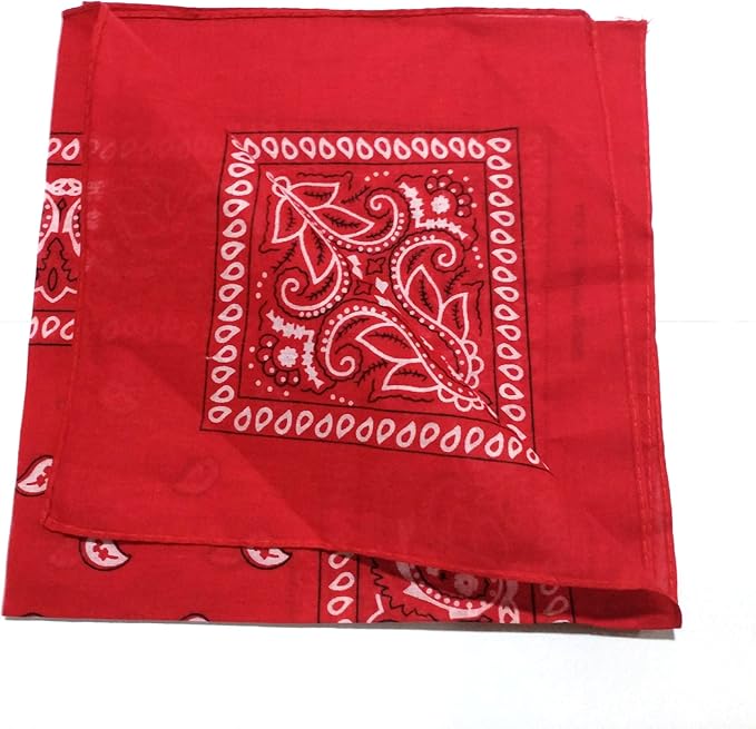 combocube 12 Pack(one Dozen) Multi-Purpose Cotton Paisley Cowboy Bandanas Headband for Men and Women