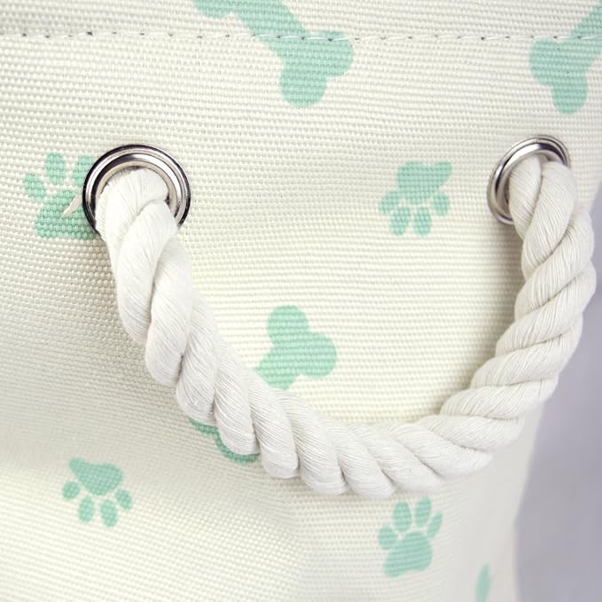 Bone Dry Pet Storage Collection Paw and Bone Print, Small Rectangle, 14x8x9", Mint