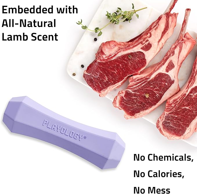 Playology Dog Toys | Durable Squeaky Chew Stick for Dogs | Medium Lamb Scented Toy - Easy to Clean and Made from Non Toxic Materials