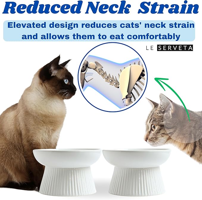 2 Pack Ceramic Slow Feeder Cat Bowl, Raised Puzzle Feeder, Anti Vomiting, Elevated Food Bowl, Whisker Friendly (White)