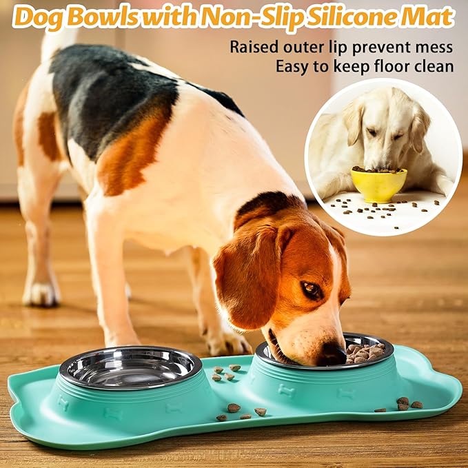 Hubulk Pet Dog Bowls 2 Stainless Steel Dog Bowl with No Spill Non-Skid Silicone Mat + Pet Food Scoop Water and Food Feeder Bowls for Feeding Small Medium Large Dogs Cats Puppies (Large, Mint Green)