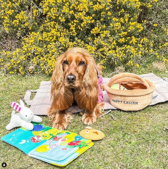 Midlee Hide a Toy Easter Basket Dog Toy