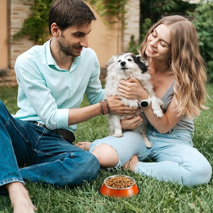 Roshtia 6 Pcs 7 oz Colorful Stainless Steel Dog Bowl Stackable Water and Food Cat Bowl Pet Dishes with Non Slip Silicone Base for Small Medium Dog Cat Kitten