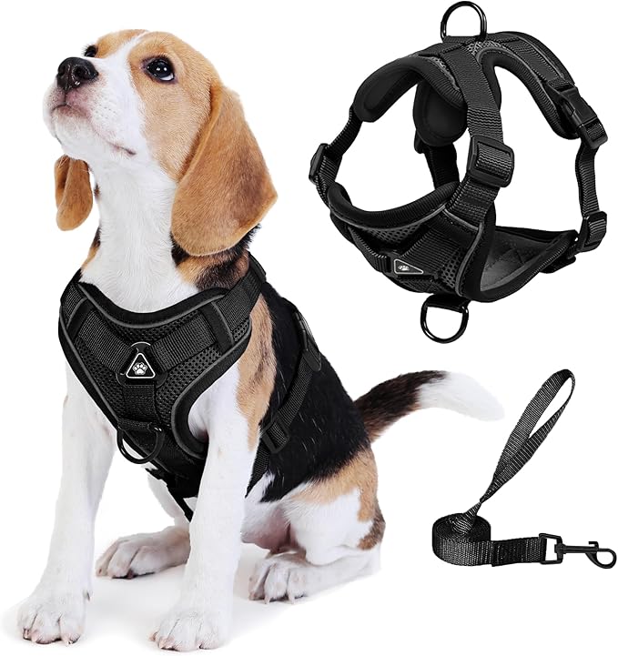 No Pull Dog Harness with Leash Set for Small Sized Dog, Reflective Adjustable No Choke Front Clip Cat Vest Harness with Breathable Mesh, Comfortable Soft Padded Pet Vest, Black S