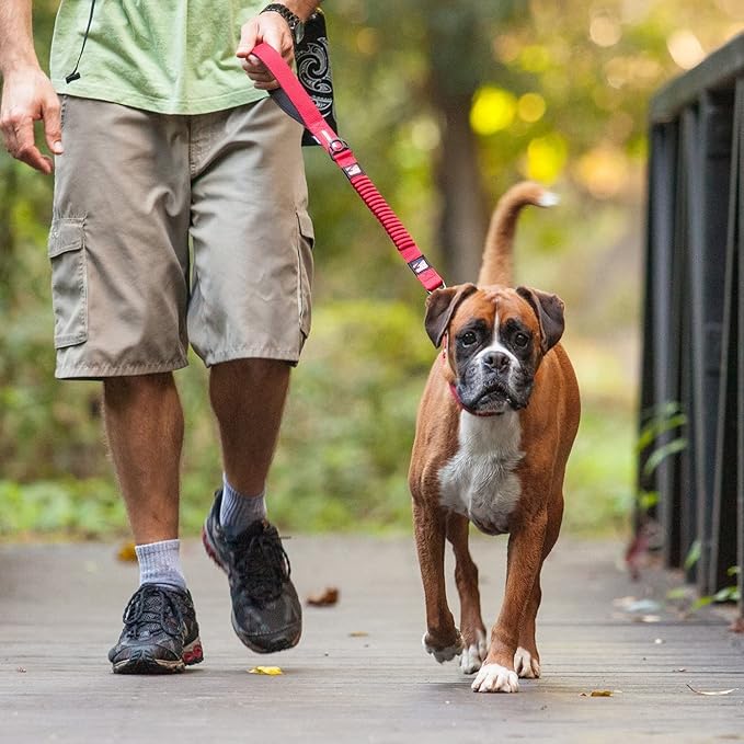 EzyDog Zero Shock Dog Leash - Shock Absorbing Bungee Leash for Dogs That Pull or Excite - Dual Handle and Reflective for Large, Medium, or Small Dogs (25-inch, Red)