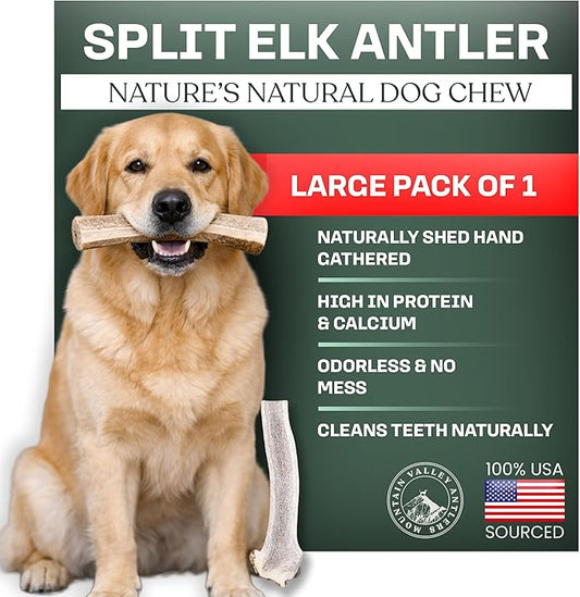 Mountain Valley Elk Antlers for Dogs - 100% Natural & Organic Chew for Aggressive Chewers, No Odor, No Mess, Long Lasting - Wild-Foraged Naturally Shed Antlers in USA - Grade A, Split Large (1 Pack)