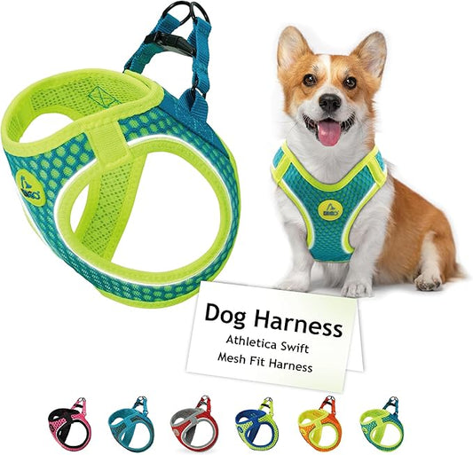 DOCO Dog Harness for Small Sized Dog - Athletica Adjustable, No Pull, No Choke, Puppy Vest Lightweight Air Mesh, Reflective, Puppy Essentials – Turquoise, Small (Chest 14.5"-15.5", Weight 6–10 lbs)