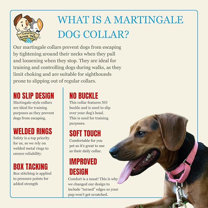 Country Brook Petz - Martingale Dog Collar - Heavy-Duty Training Collar with No Buckle - Service Dog Collar for All Pups - 10+ Warm Colors (Pink, 3/8 Inch, 3XS)