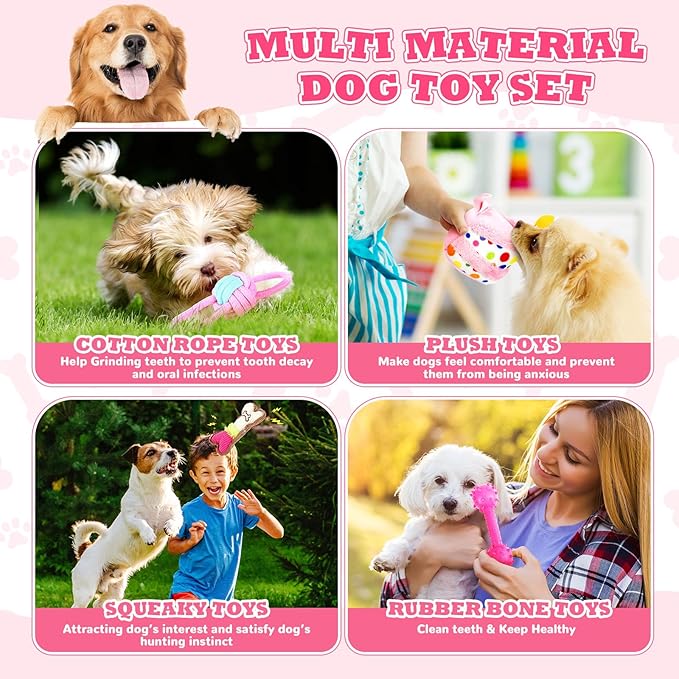 11 Pcs Dog Birthday Toy Gift for Dog Birthday Cake Puppy Girl Boy Squeak Toys Interactive Puppy Gift with Box for Small Medium Size(Classic,Pink)