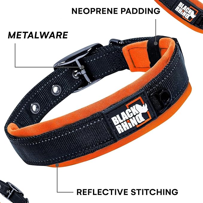 Black Rhino Dog Collars for Medium Dogs - Adjustable Reflective Heavy Duty Dog Collar with Ultra-Soft Neoprene Padding - Weatherproof, Durable, and Comfortable for Active Dogs - Orange and Black
