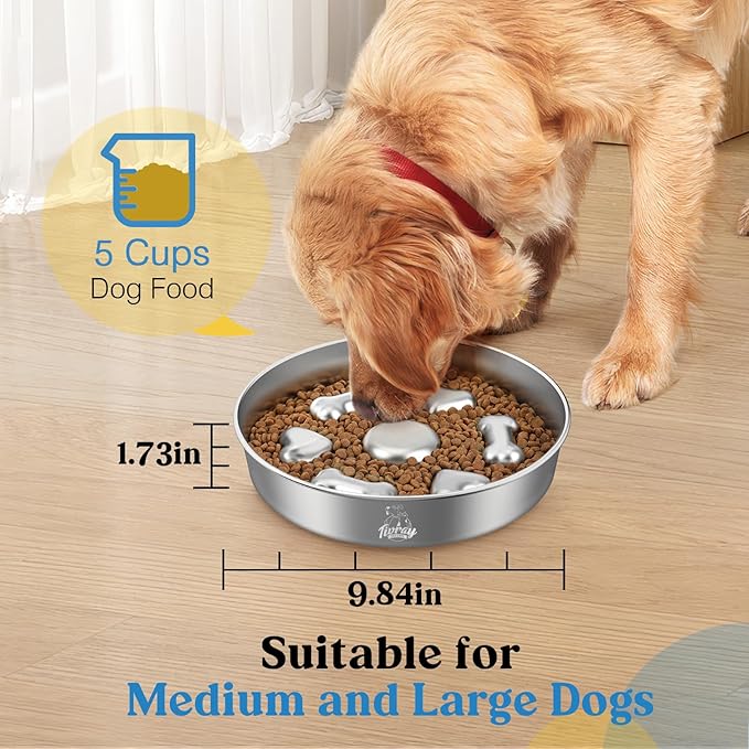 2Pcs Slow Feeder Dog Bowls, 5 Cups Stainless Steel Dog Slow Feeder Metal Pet Food Bowl with Non-Slip Base for Medium & Large Breed, Bloat Stop, Food-Grade, Dishwasher Safe