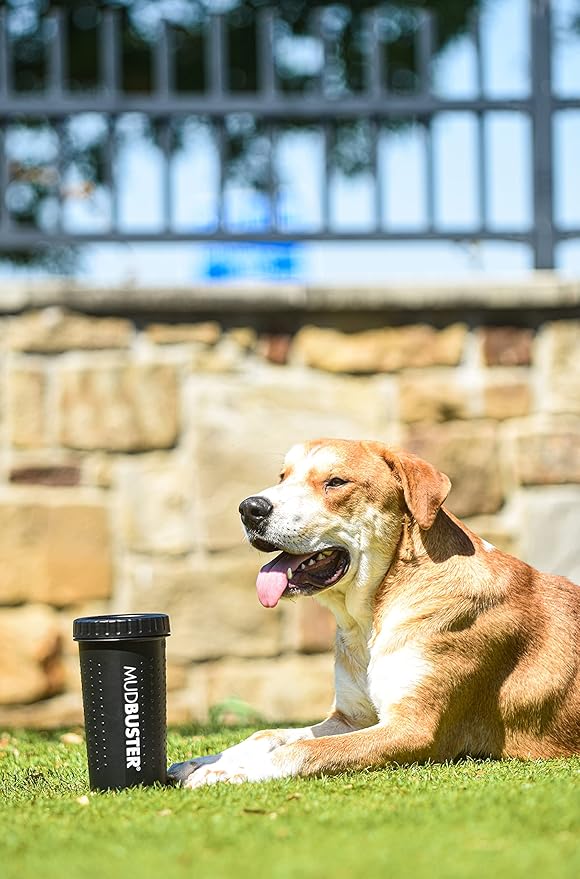 Dexas MudBuster Portable Dog Paw Washer/Paw Cleaner, Large, Matte Black- Special Edition (PW72025-22WP)