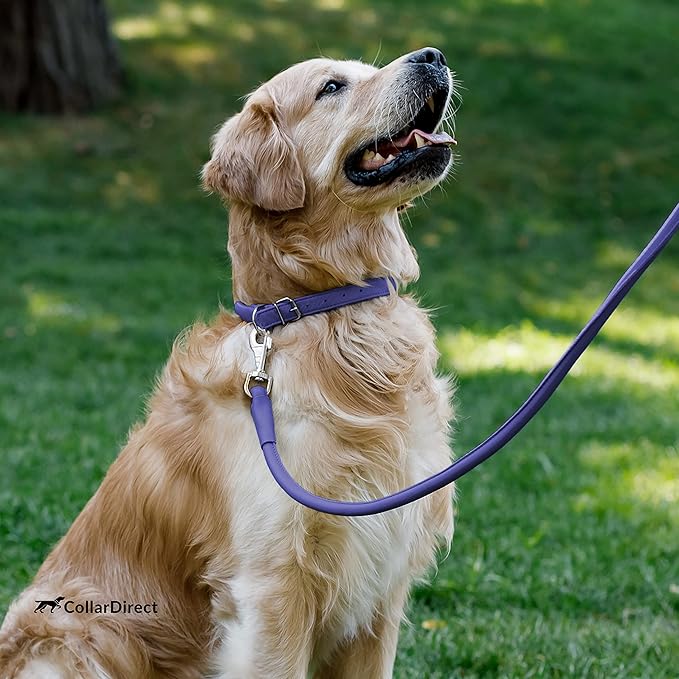 CollarDirect Rolled Leather Dog Collar, Soft Padded Round Puppy Collar, Handmade Genuine Leather Collar Dog Small Large Cat Collars 13 Colors (6-7 Inch, Purple Textured)