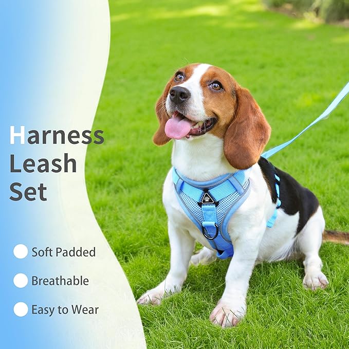 No Pull Dog Harness with Leash Set for Small Sized Dog, Reflective Adjustable No Choke Front Clip Cat Vest Harness with Breathable Mesh, Comfortable Soft Padded Pet Vest, Blue L