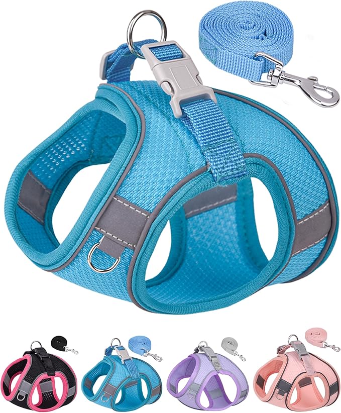 Dog Harness for Small Medium Sized Dog,Step in Puppy Harness and Leash Set Training Walking. (Blue, L)