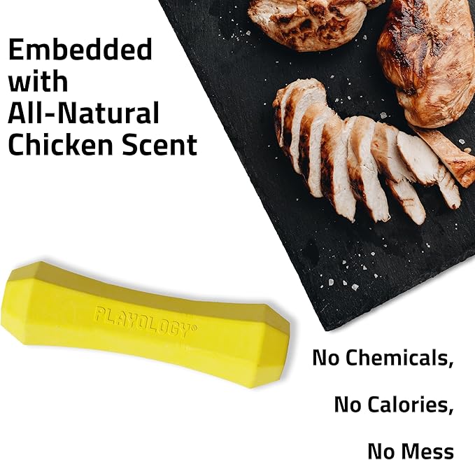 Playology Dog Toys | Durable Squeaky Chew Stick for Dogs | Jumbo Chicken Scented Toy - Easy to Clean and Made from Non Toxic Materials