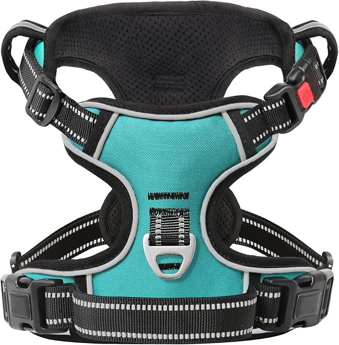 Timos Dog Harness, No-Pull Pet Harness with 2 Leash Clips, Adjustable Soft Padded Dog Vest, Reflective Outdoor Pet Oxford Vest with Easy Control Handle Turquoise