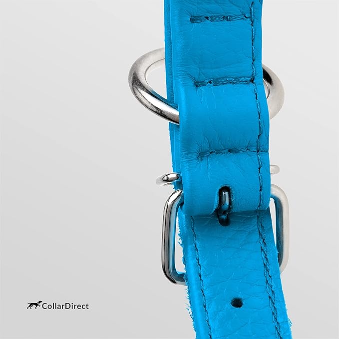 CollarDirect Rolled Leather Dog Collar, Soft Padded Round Puppy Collar, Handmade Genuine Leather Collar Dog Small Large Cat Collars 13 Colors (6-7 Inch, Light Blue Textured)